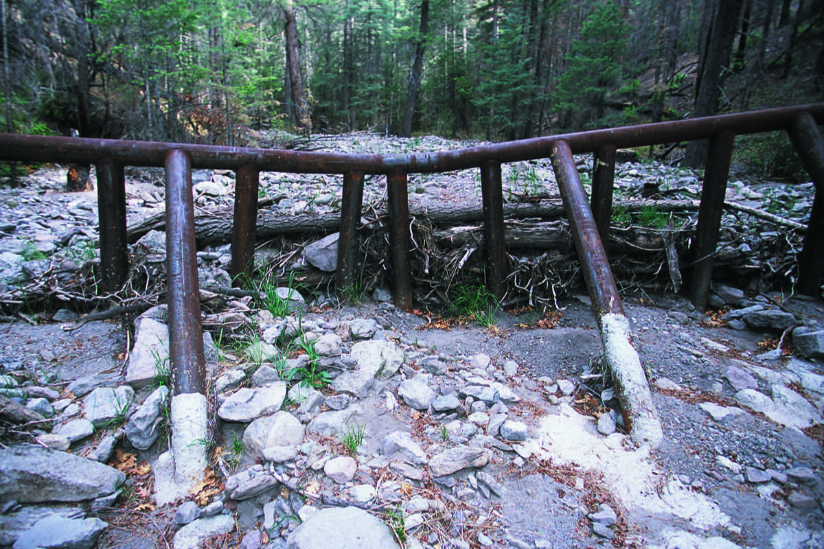 Steel debris catcher across a post-fire drainage in a New Mexico forest