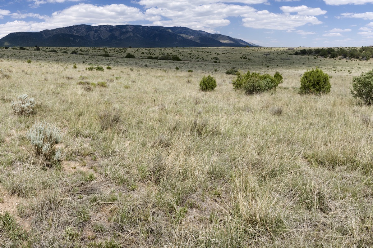 Open grassland south of the Capitan Mountains in Lincoln County, New Mexico